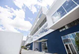 重庆皮肤消毒用洗必泰CHG涂药器谁家的好