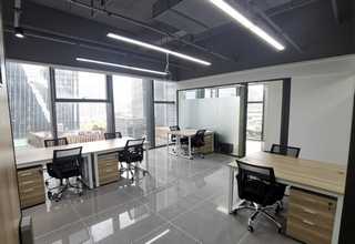 静安区室内盆栽菜基地生产厂家