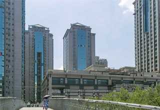 昭通千年琥珀收藏