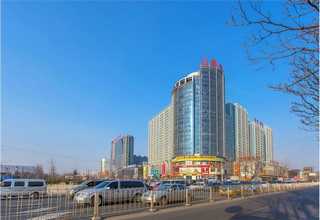 绍兴性能优良实验室无油空压机电话