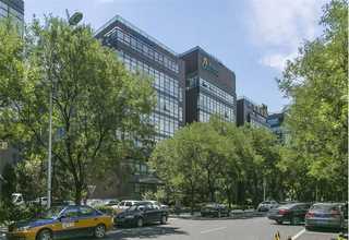 邯郸唯欧合金锯片销售