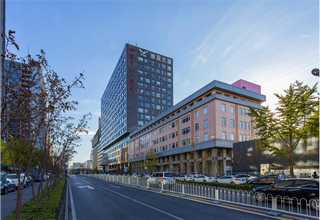 青浦区实木木箱哪家好